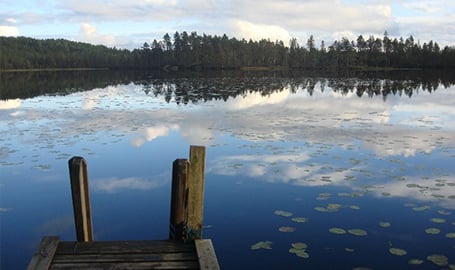 フィンランドの様子