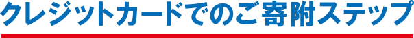 クレジットカードでのご寄附ステップ