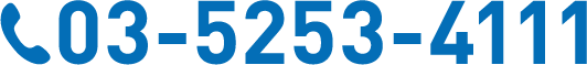 03-5253-4111