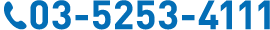 03-5253-4111