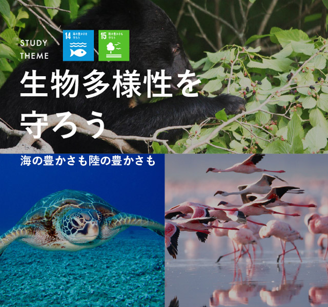 生物多様性を守ろう